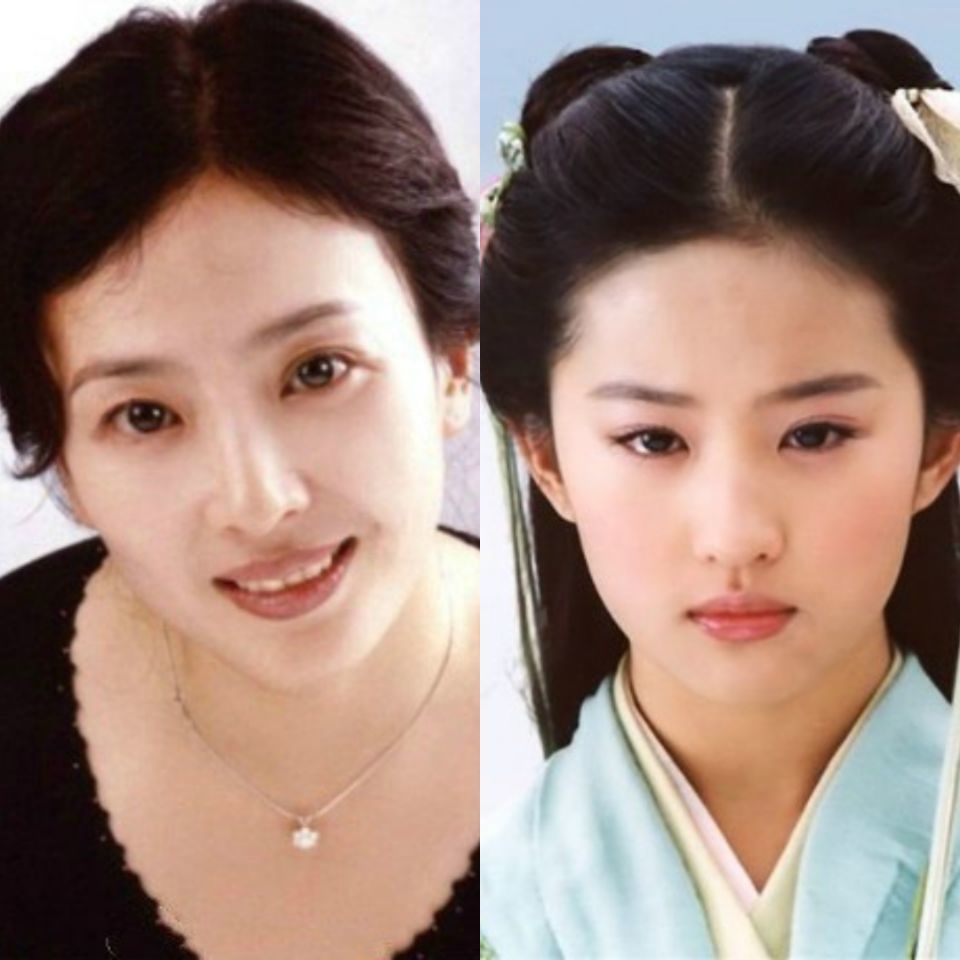 王菲这是我女儿邱淑贞这是我女儿刘晓莉麻烦让让