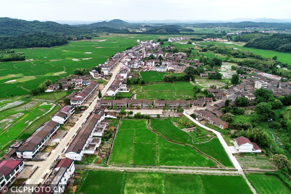 摄2021年5月18日拍摄的河南省光山县罗陈乡梯田美景