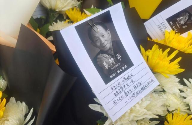 梦想"禾下乘凉"的少年,终于让全世界几十亿人不再饿肚子,自己却永远