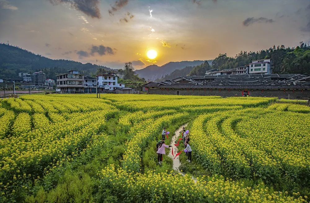 忽然想去同安了