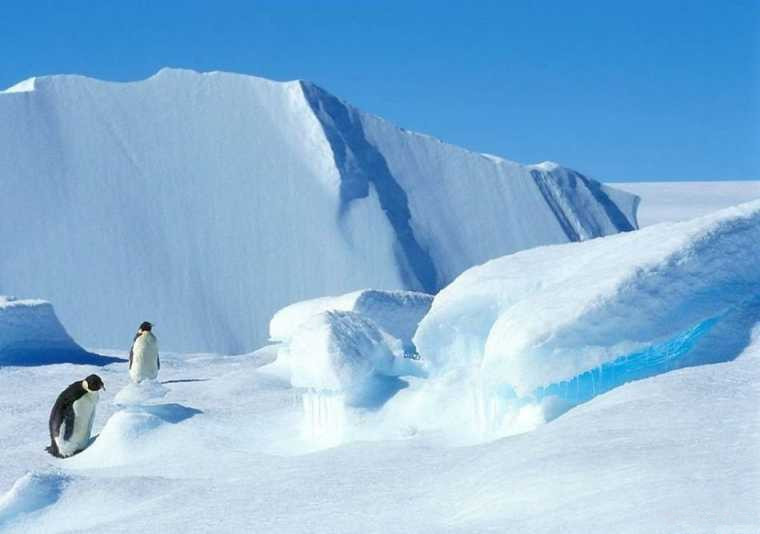 地球南極為啥比北極冷一級地形和大氣環流是兩大元兇