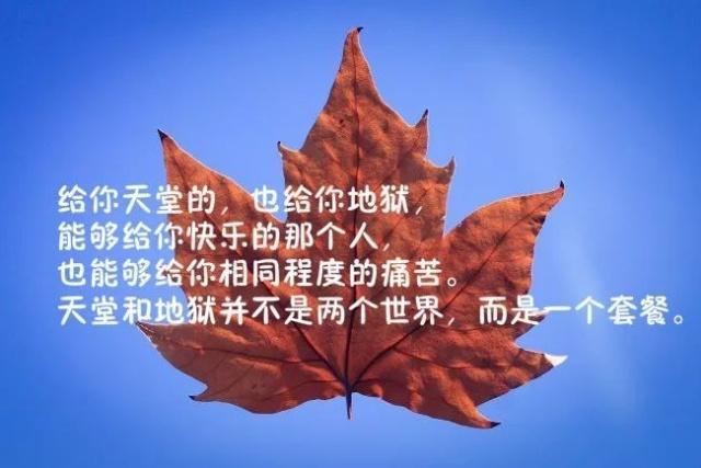 一句話的心情語錄說說配圖句句走心