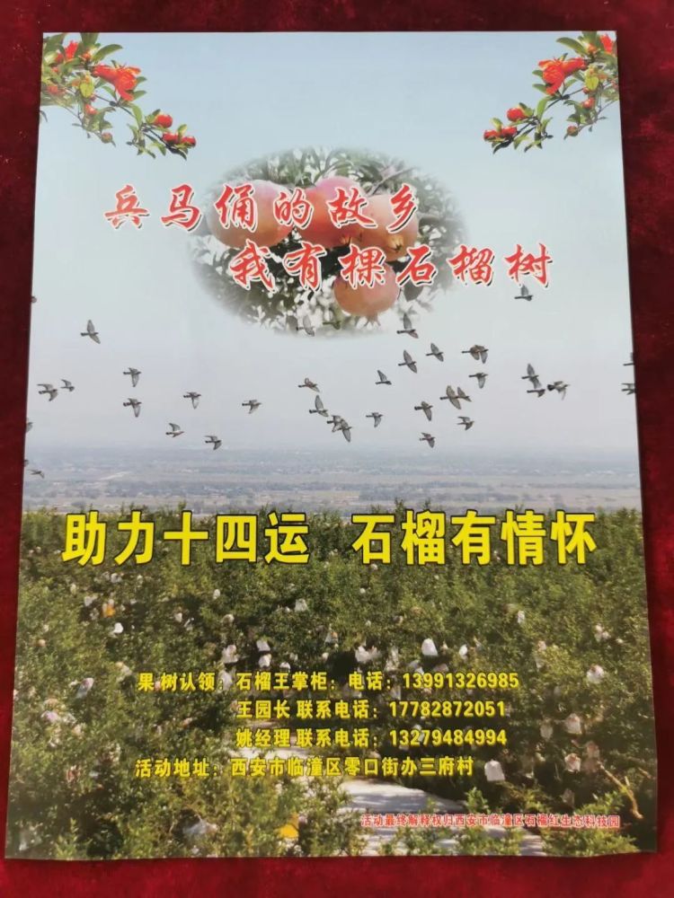 西安市临潼区举办第五届石榴花节