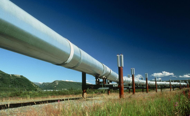 乖乖支付500万美元赎金|拜登|科洛尼尔管道运输公司|美国_科技|黑客