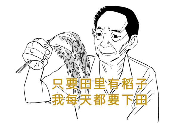 他就是雜交水稻之父--袁隆平 帶著億萬人的扼腕與不捨,離開了我們