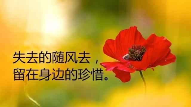 感悟生活的句子(伤心情说说感悟生活的句子)