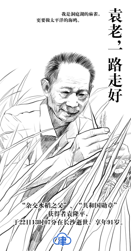 袁老素描图片