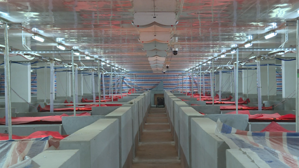 镇雄首家生猪立体养殖场投产