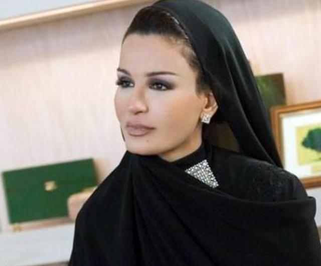 经过了十几年的隐忍和退让,莫扎王妃才终于将父亲营救了出来.