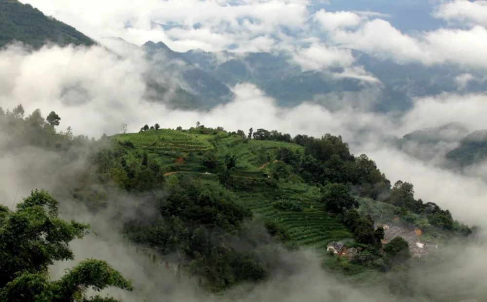 玩场什么是千家寨