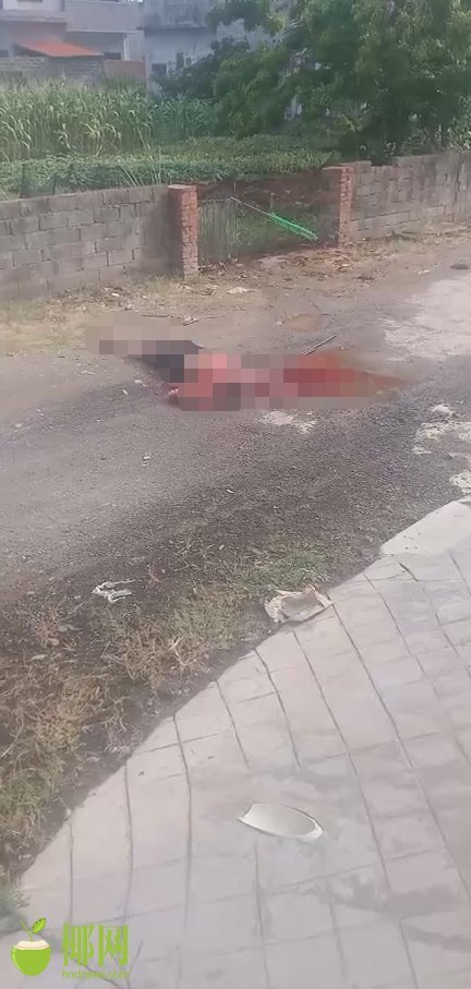 临高新盈镇发生一起伤人事件,2人死亡!行凶者已被警方控制_腾讯新闻