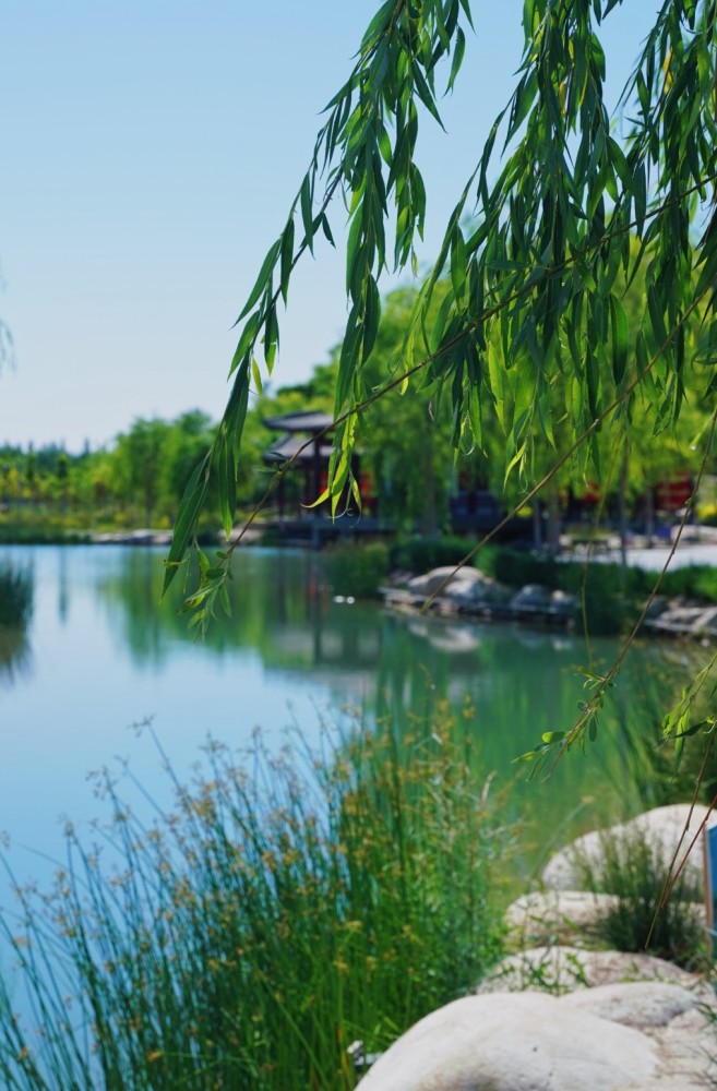 新和县地处天山南麓,塔里木盆地北缘,取名"新疆永久和平"之意.