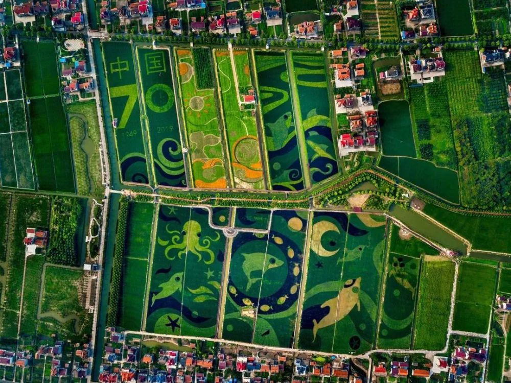 借力花博会崇明描绘生态村居图