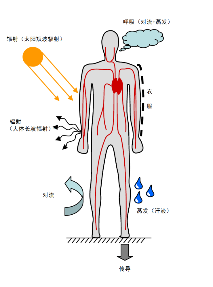 致使甘肃山地马拉松赛21人死亡的失温到底是咋回事