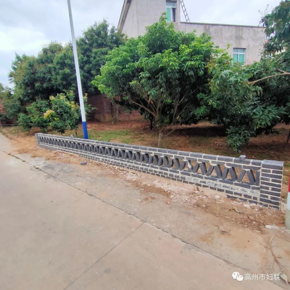 高州市妇女联谊会助力乡村振兴