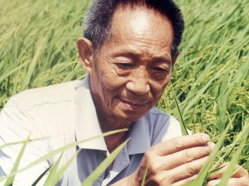 医生谈袁隆平生前细节让人泪奔,袁爷爷卧床治疗近两