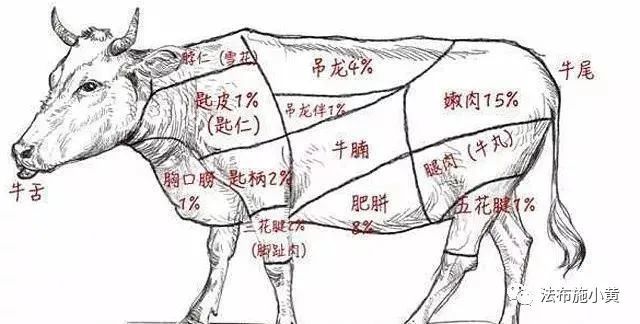 之后,经过十几年的实践总结;他终于清楚地,了解牛的各个器官位置和