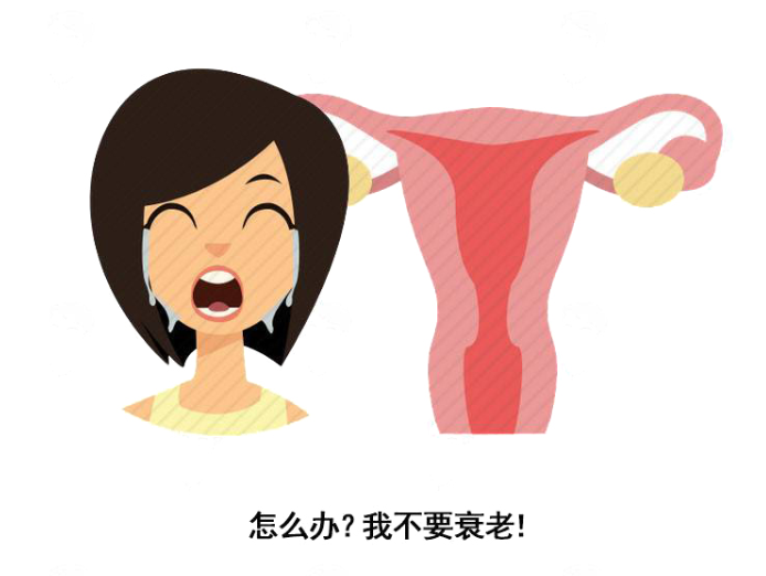 女性绝经晚,说明身体更年轻?医生说出实情,和你想的不太一样!