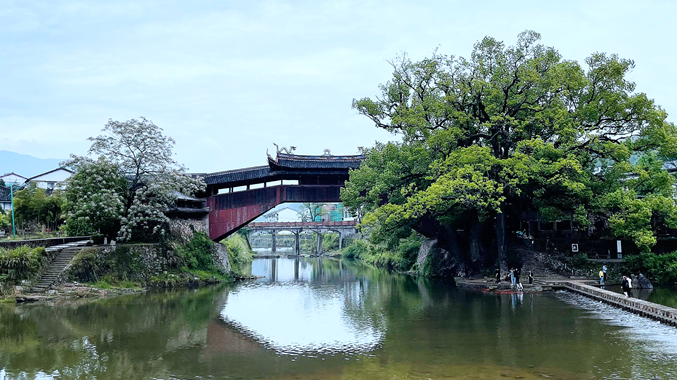 带你纵览古今瓯越温州文旅惠民活动多多