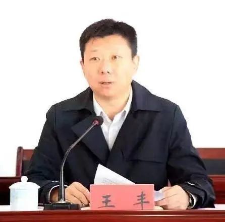 王丰同志简历黄拔荣,男,福建闽清人,1972年10月出生,中共党员,省委