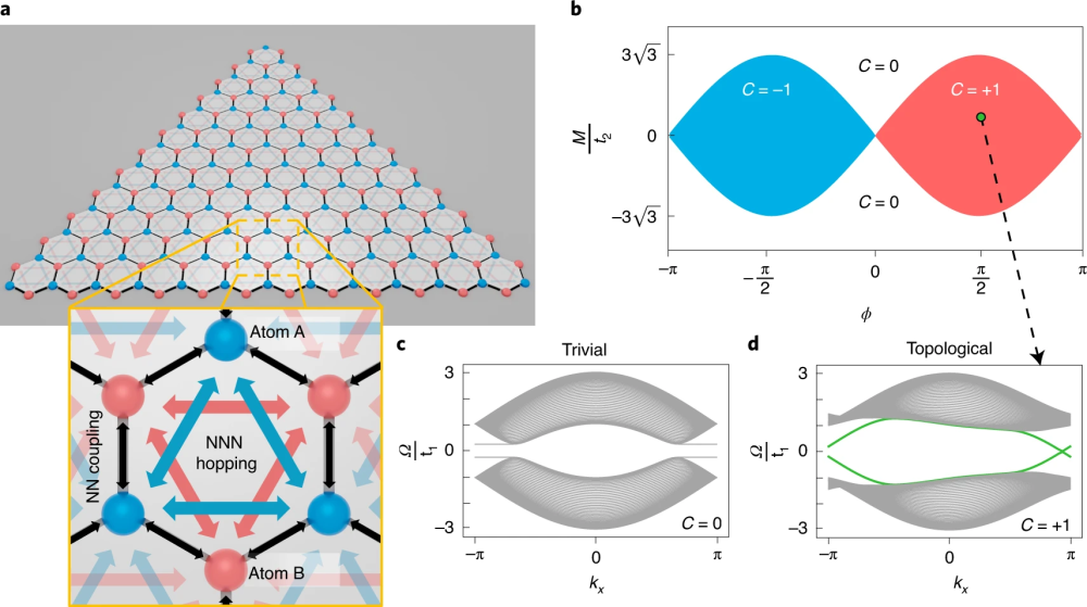 有源光子系统在设计一类由光学增益唯一实现的拓扑晶格中的潜力.