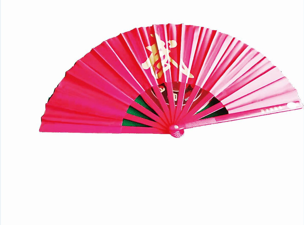 盐山武术扇怀袖雅物显风骨