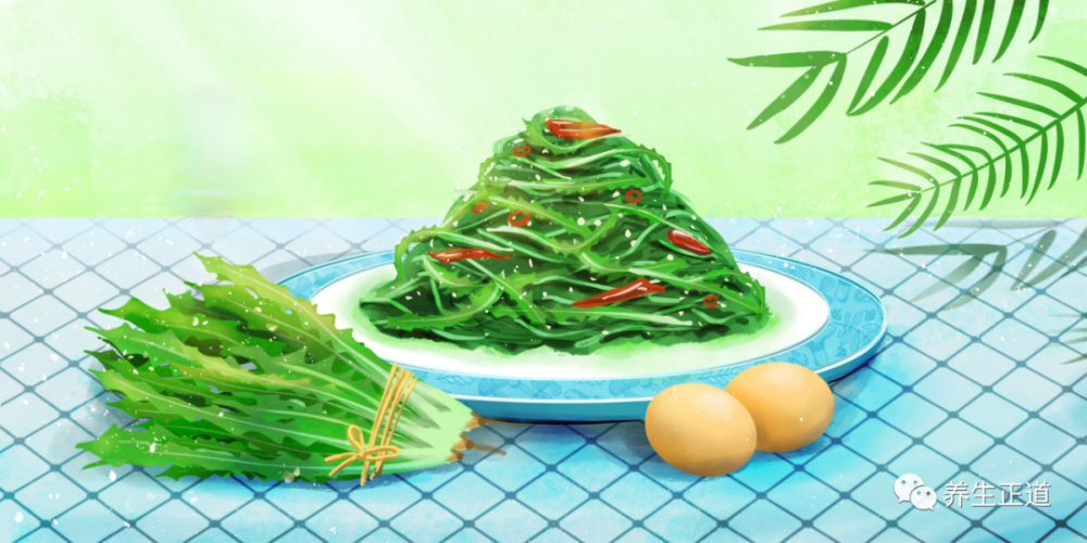 适合在小满吃的是什么苦菜?有什么功效?