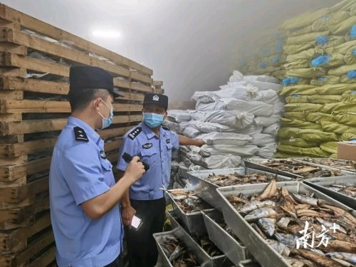 阳东公安分局打私大队组织开展冷库反走私专项检查 腾讯新闻