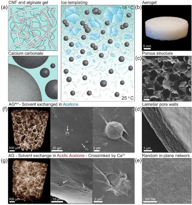 在厨房就能做气凝胶!这个方法有点牛