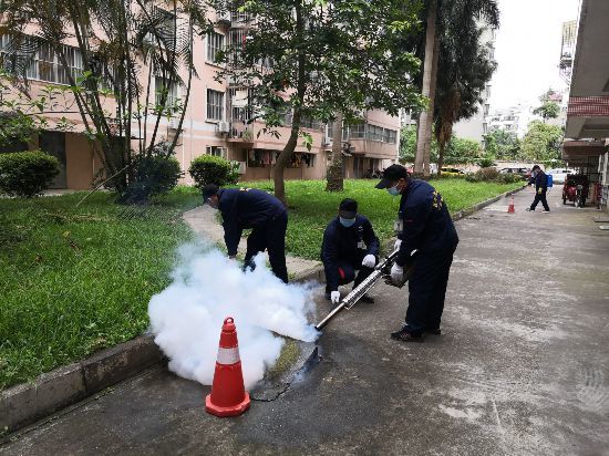 白蚁防治行业：守护家的安全卫士