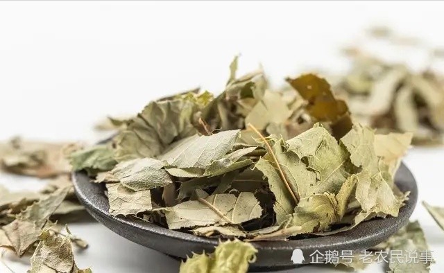 俗称"三枝九叶草",以前常被用来喂羊,现在一斤150,价值很高