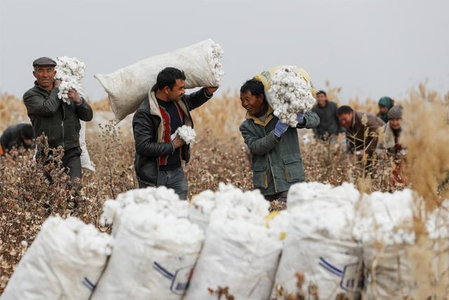 良心美企斯凯奇强势为新疆棉发声