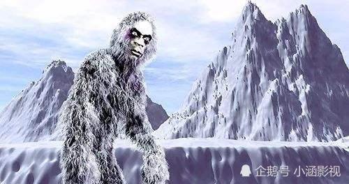 但是全身毛发雪白,而且有长长的毛,就类似于类人猿