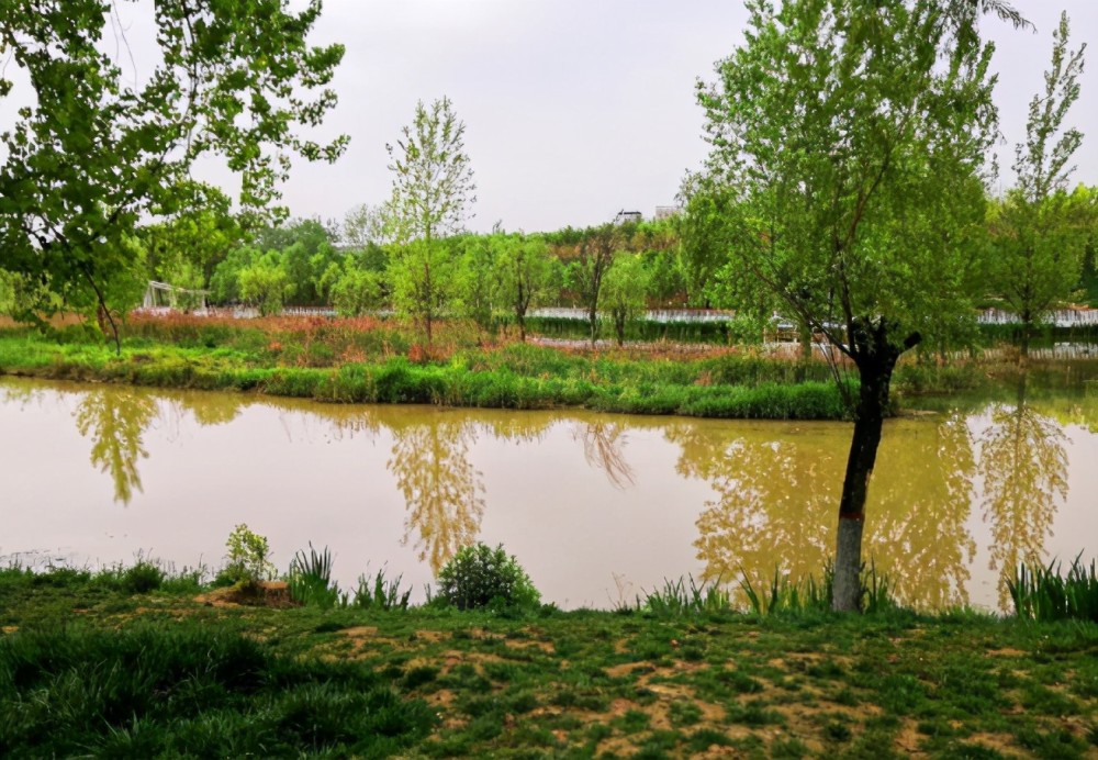 西安又一公园成网红被称为小马尔代夫景致不错还免费