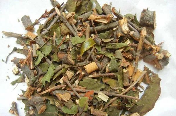 沈绍功先生治疗高血压常用的八味中药