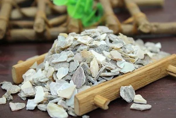 沈绍功先生治疗高血压常用的八味中药_腾讯新闻