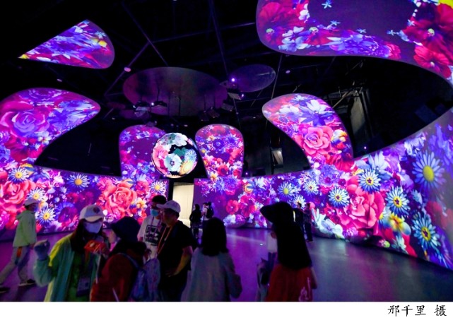 花博会上的这只花蝴蝶藏着怎样的秘密和惊喜