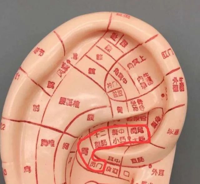 叫耳鸣沟,代表他常常有耳鸣的疾病,时常会听到耳朵会出现嗡嗡嗡的声音