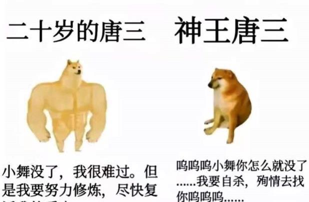 斗罗大陆 唐三重生喝猪奶 小舞转生成男性 唐家三少这波玩得真花 全网搜