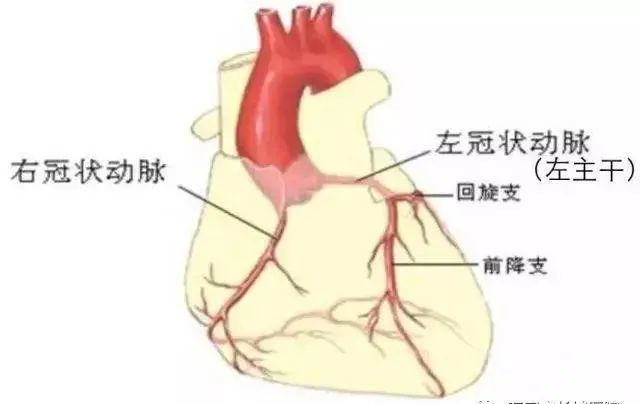 命懸一線石家莊長城醫院成功為82歲低體重老人行心臟不停跳搭橋手術