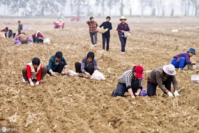 中国有多少农民人口_蔡昉:中国女性家务劳动时间是男性2.6倍,这种过度负担会