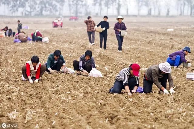 中国有多少农民人口_蔡昉:中国女性家务劳动时间是男性2.6倍,这种过度负担会