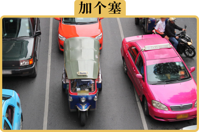 加塞狗为什么这么让人讨厌