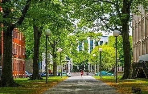 深度解析:东北大学cps学院的前世今生!