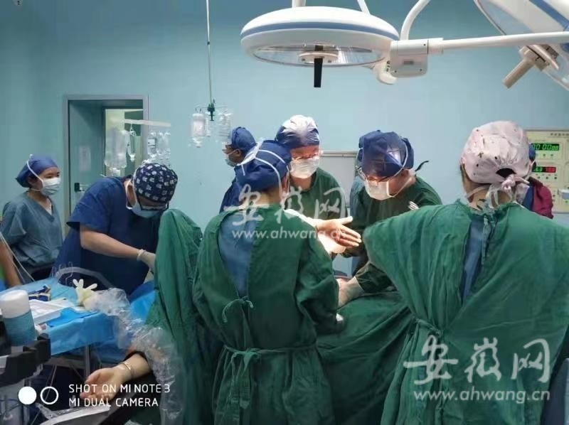 合肥一女子宫外孕出血3000毫升致盆腔一片 血海 自体血回输救回一命 腾讯新闻