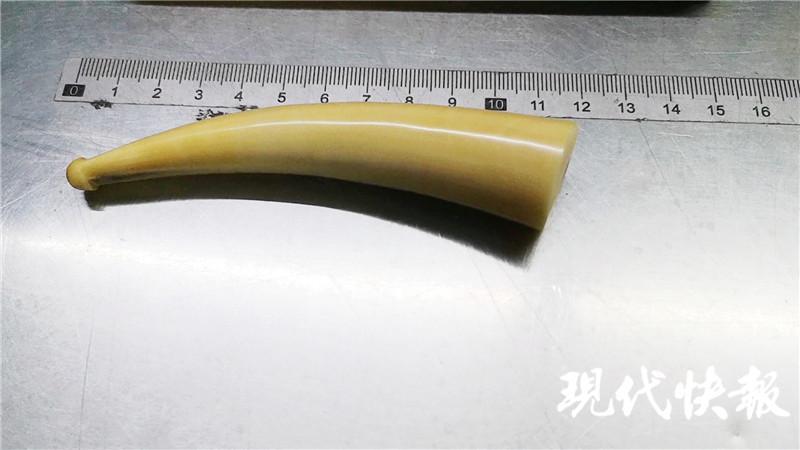 苏州海关查获抹香鲸牙2颗_腾讯新闻