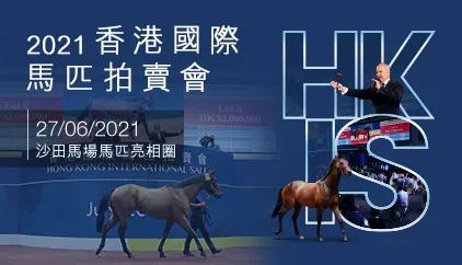 新拍马跑赢即获60万 21香港国际马匹拍卖会6月开槌 腾讯新闻