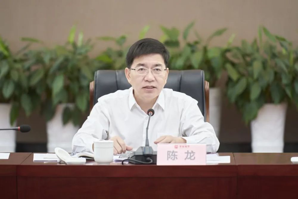 陈龙聚焦多跨场景推动数字化改革走深走实