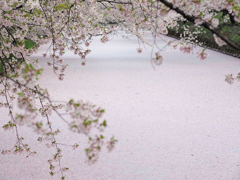 三个让你去了忘不了的日本美丽乡村 腾讯新闻