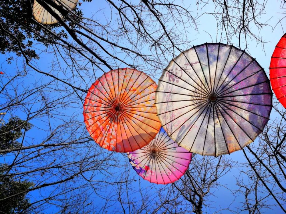 撑一把油纸伞美醉整个江南